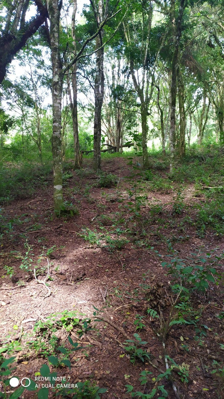 Vende-se terreno na localidade de São João.