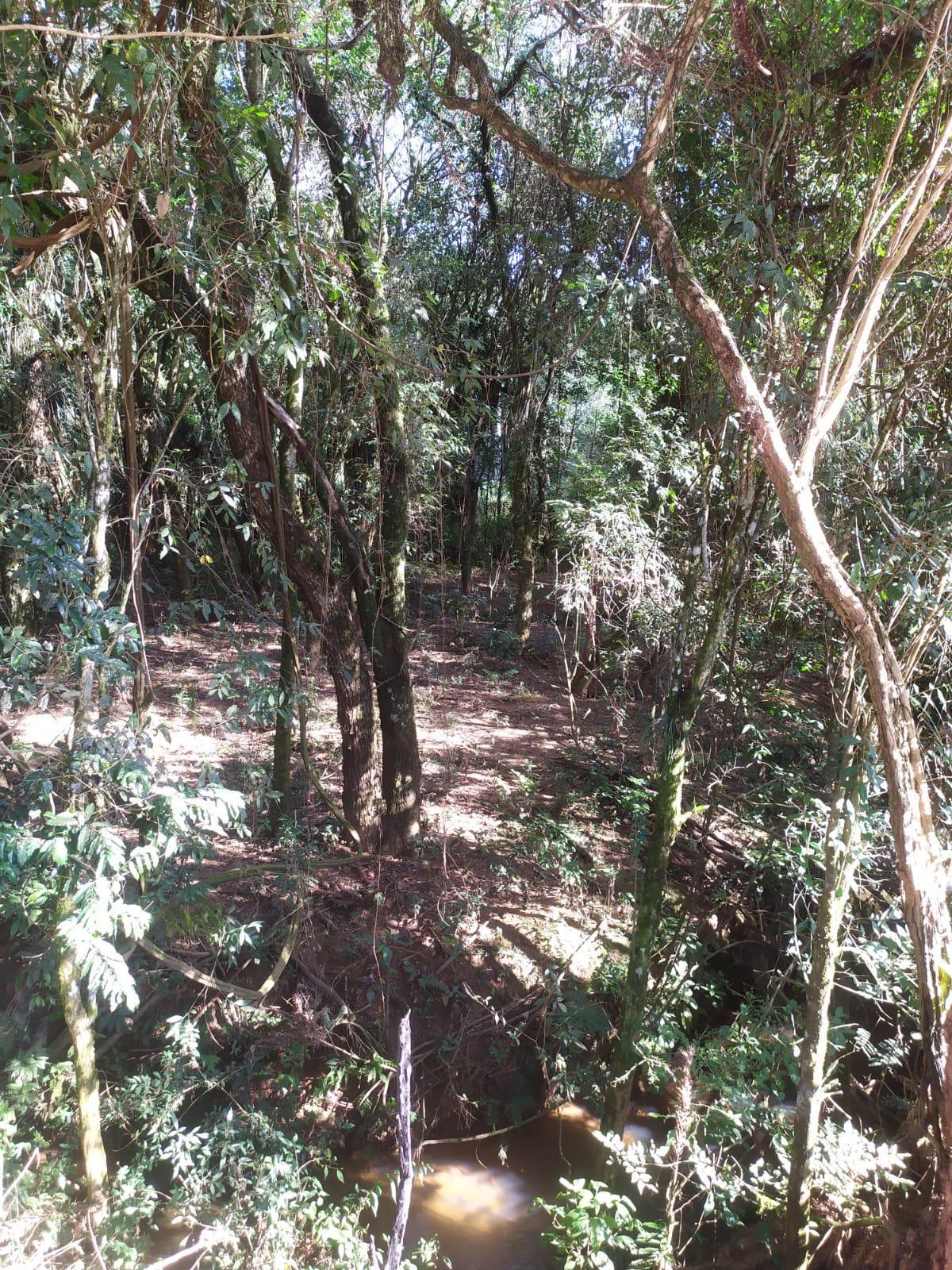Vende-se terreno na localidade de São João.