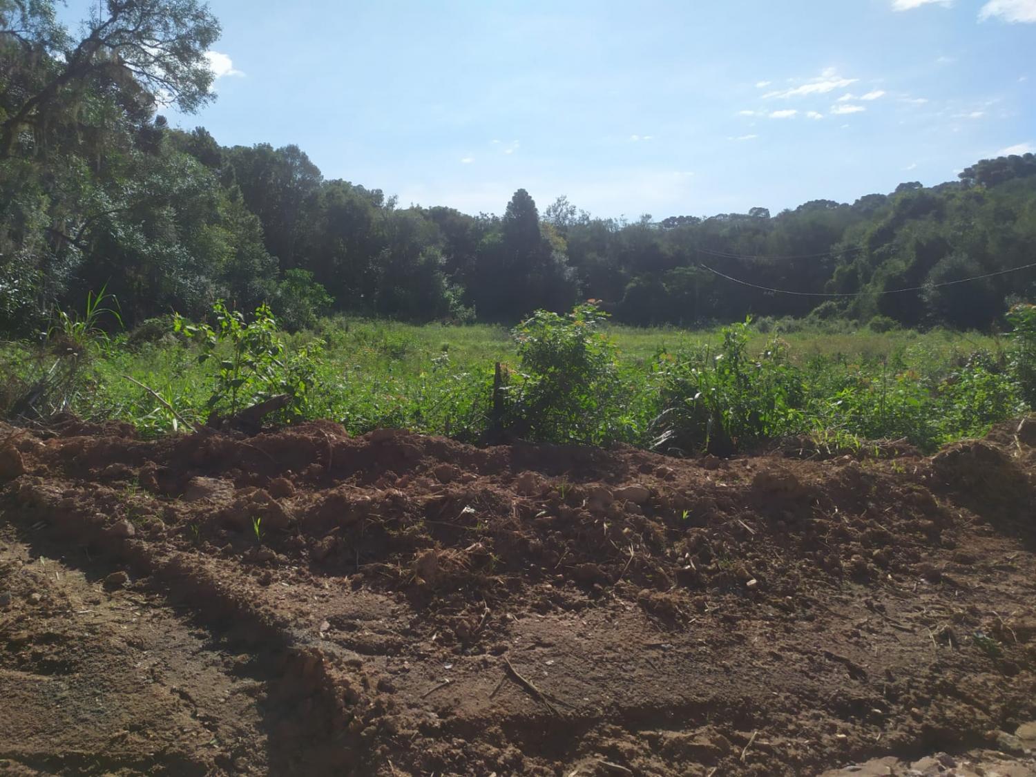 Vende-se terreno na localidade de São João.