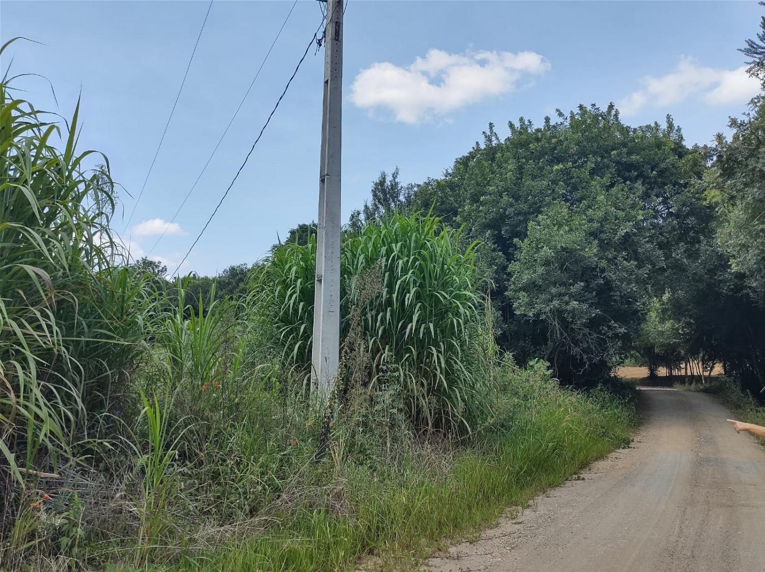Vende-se terreno na localidade de São João.