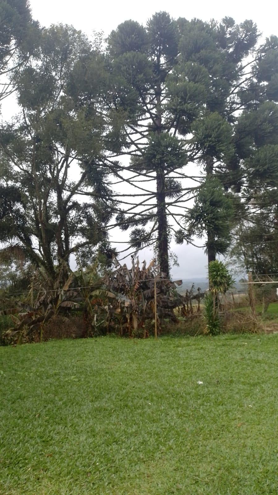 Vende-se chácara, localiza na Lagoa Verde Quitandinha/PR.