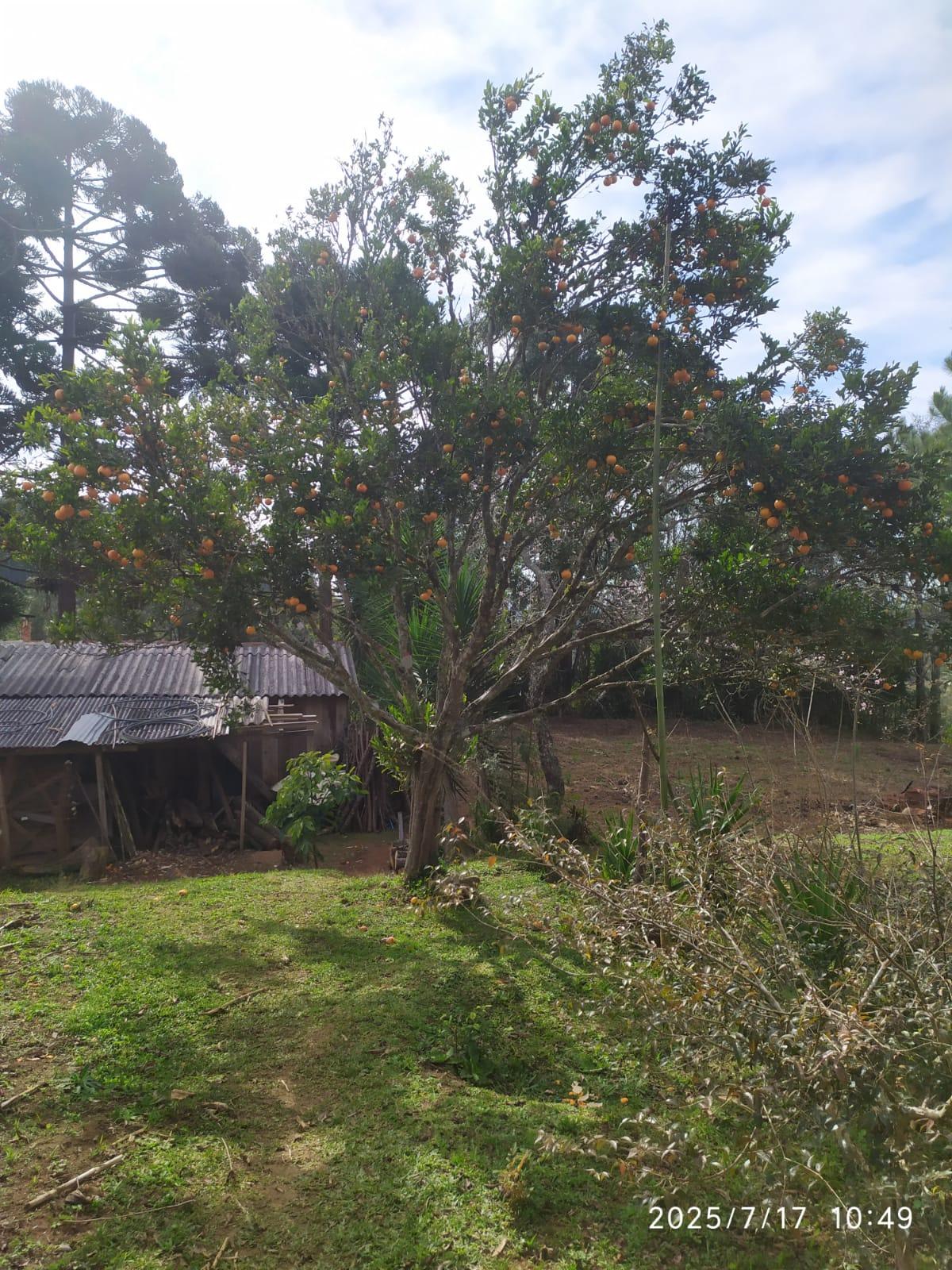 Vende-se chácara, localiza na Lagoa Verde Quitandinha/PR.