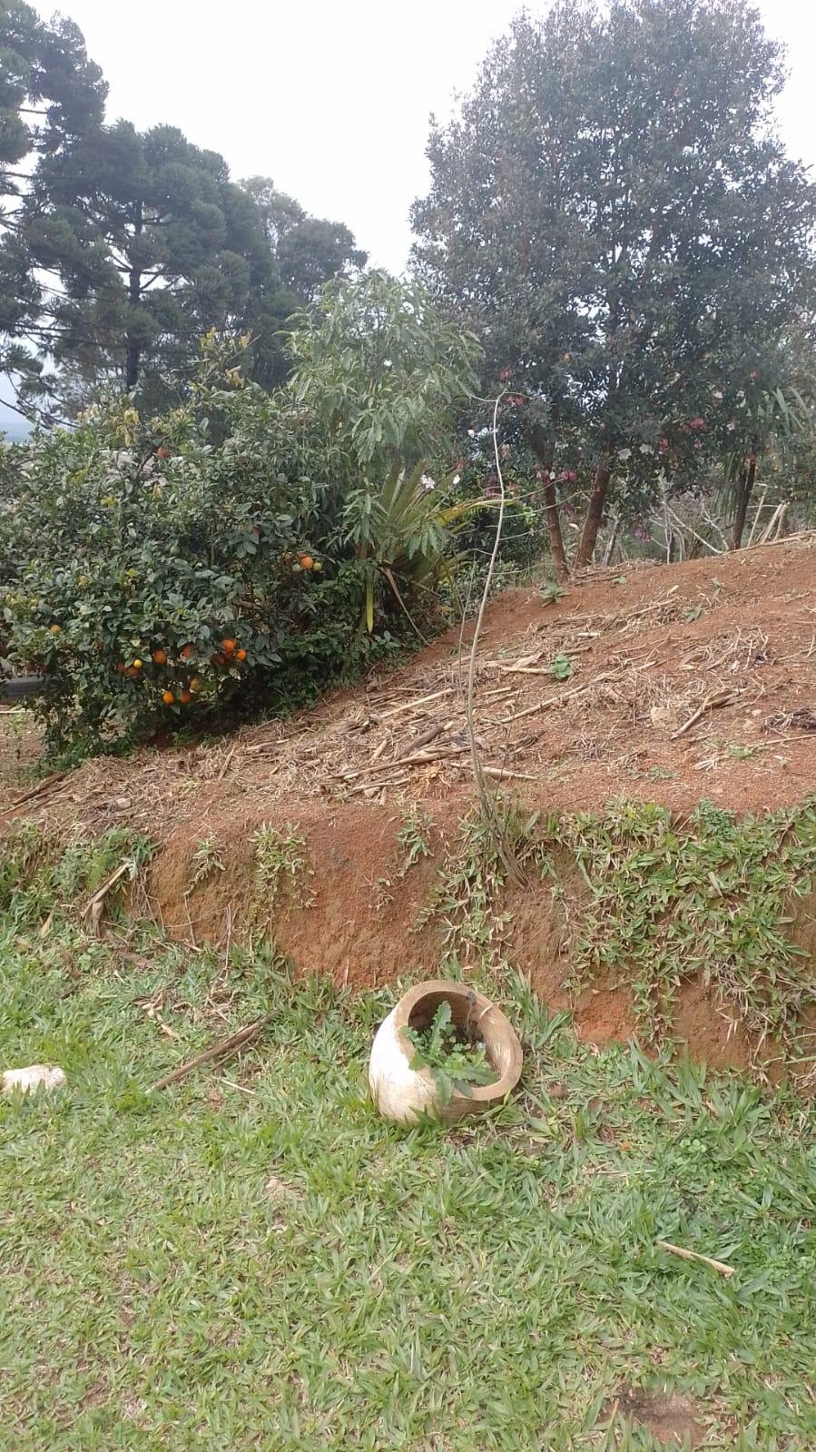 Vende-se chácara, localiza na Lagoa Verde Quitandinha/PR.