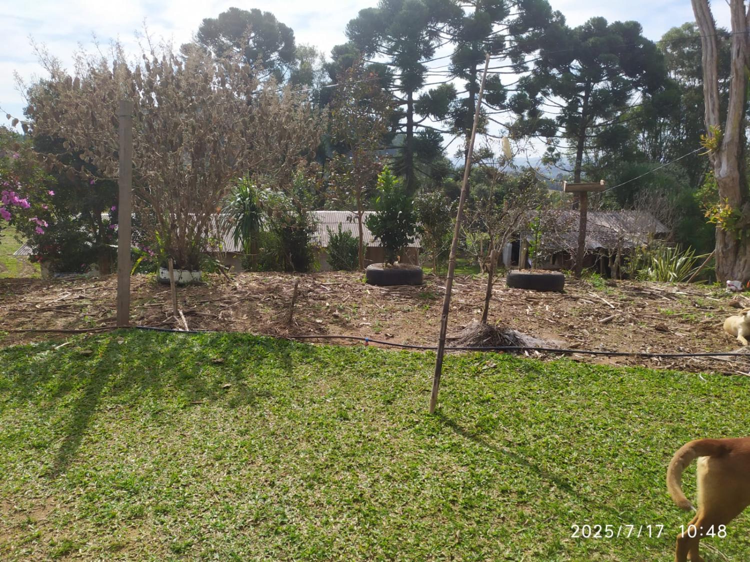 Vende-se chácara, localiza na Lagoa Verde Quitandinha/PR.